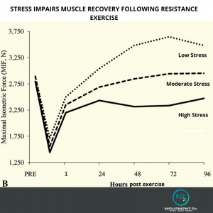 Stress Muscle Recovery Post Exercise Movement Rx- Redcliffe Sports Physiotherapy